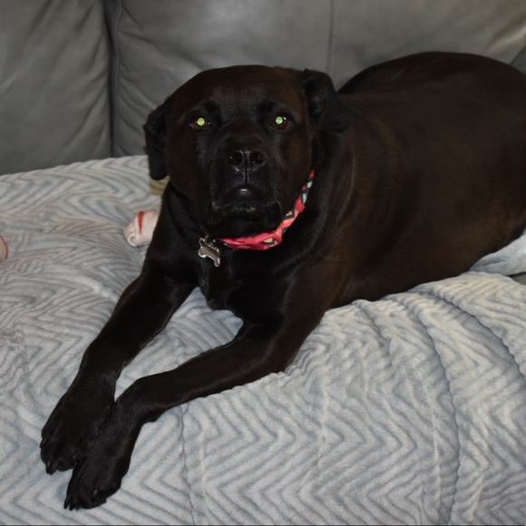 Welcome To LexIsMore Boutique and Alexa’s Closet! - Picture 8 of 8